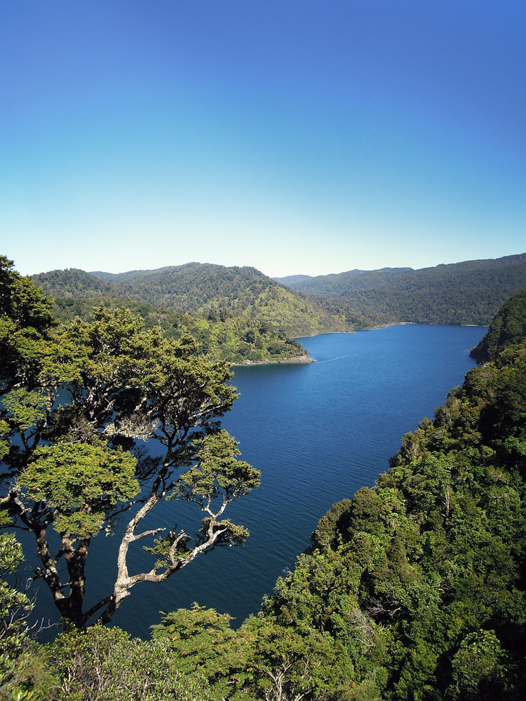 Lake-Waikaremoana-Neuseeland-overview