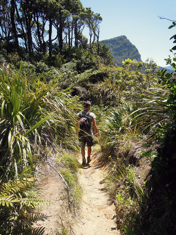 Lake-Waikaremoana-Neuseeland-trekking