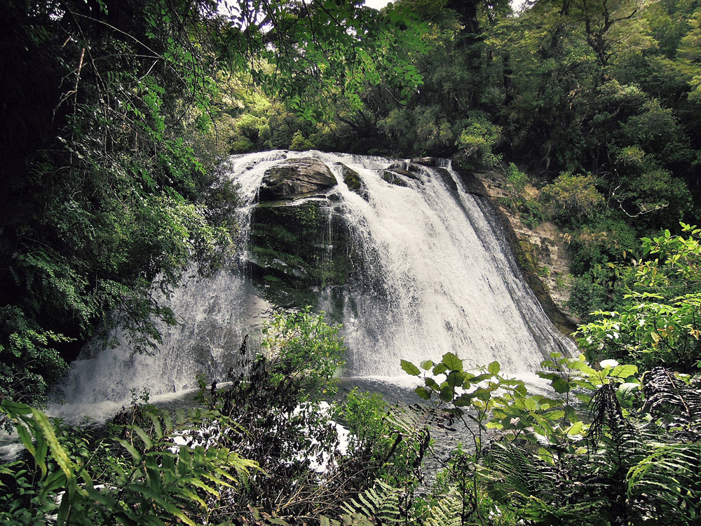 Lake-Waikaremoana-Neuseeland-waterfall-small